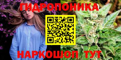 соль ск Обнинск
