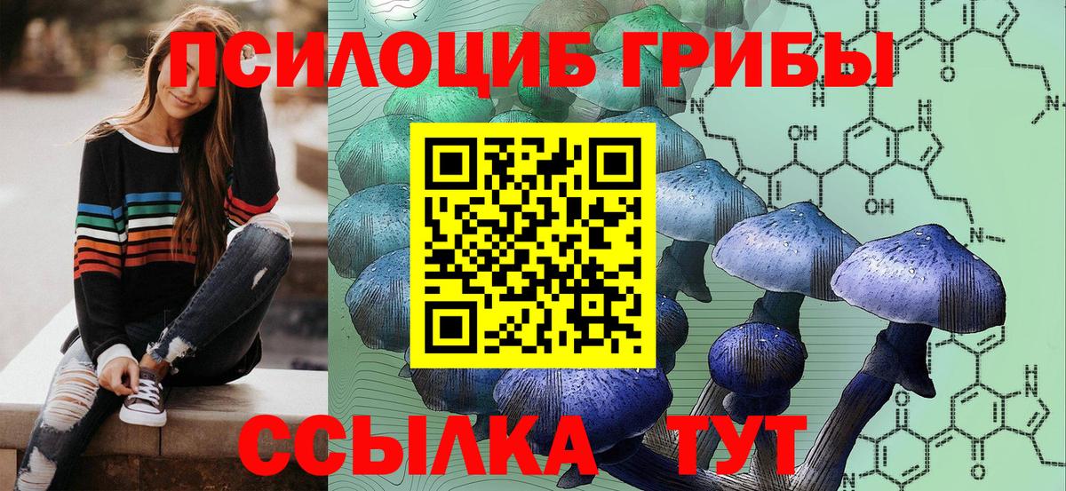 Псилоцибиновые грибы мухоморы Спасск-Дальний