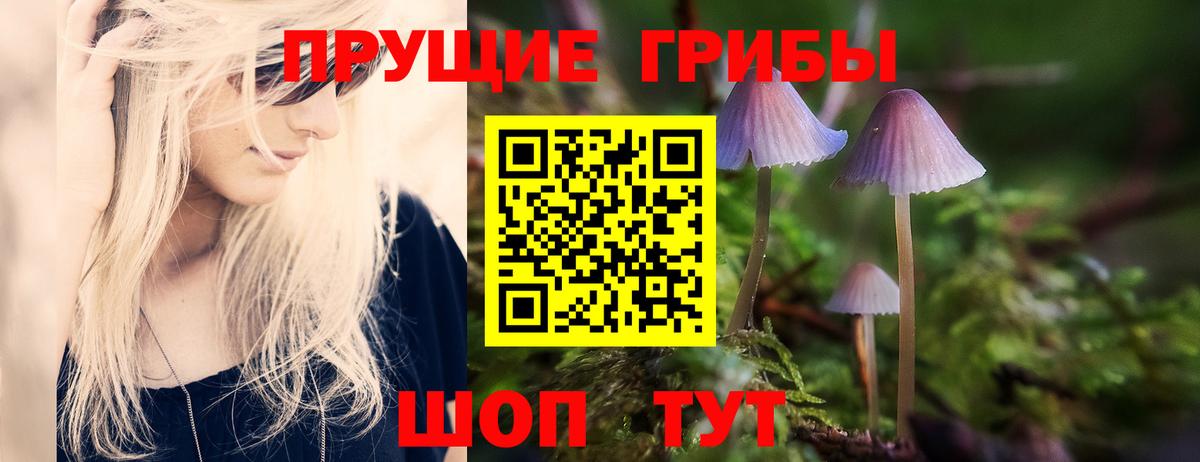 Галлюциногенные грибы Magic Shrooms  Вход с VPN  Спасск-Дальний 
